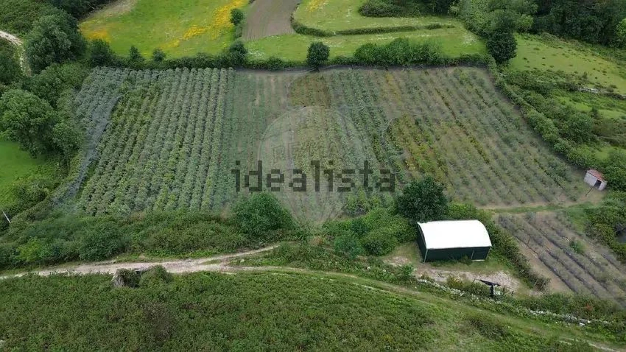 Moradia T1 para Venda em Gondoriz Foto 18