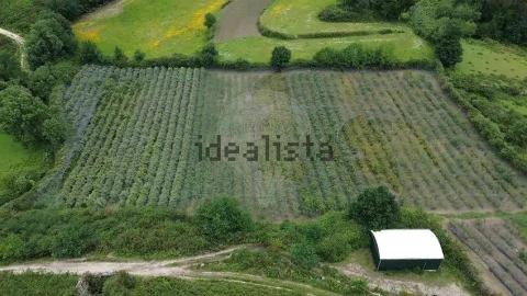 Moradia T1 para Venda em Gondoriz