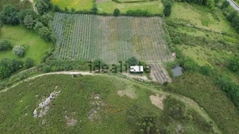 Moradia T1 para Venda em Gondoriz