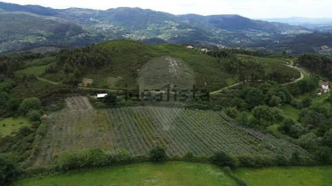 Moradia T1 para Venda em Gondoriz