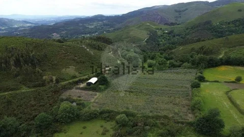 Moradia T1 para Venda em Gondoriz