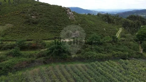 Moradia T1 para Venda em Gondoriz