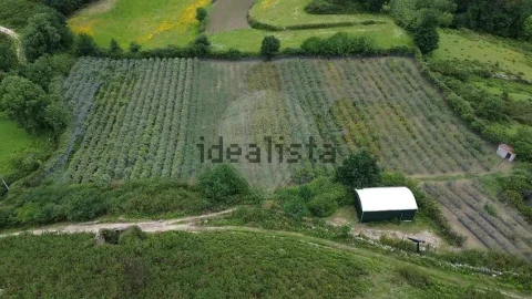 Moradia T1 para Venda em Gondoriz