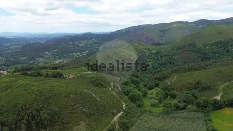 Moradia T1 para Venda em Gondoriz