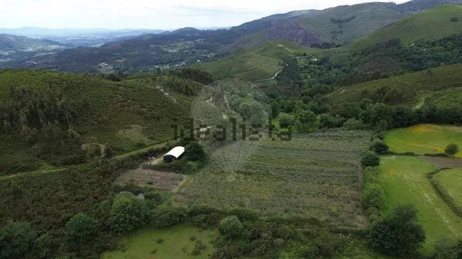 Moradia T1 para Venda em Gondoriz Foto 15