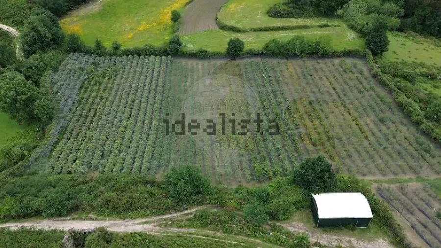 Moradia T1 para Venda em Gondoriz