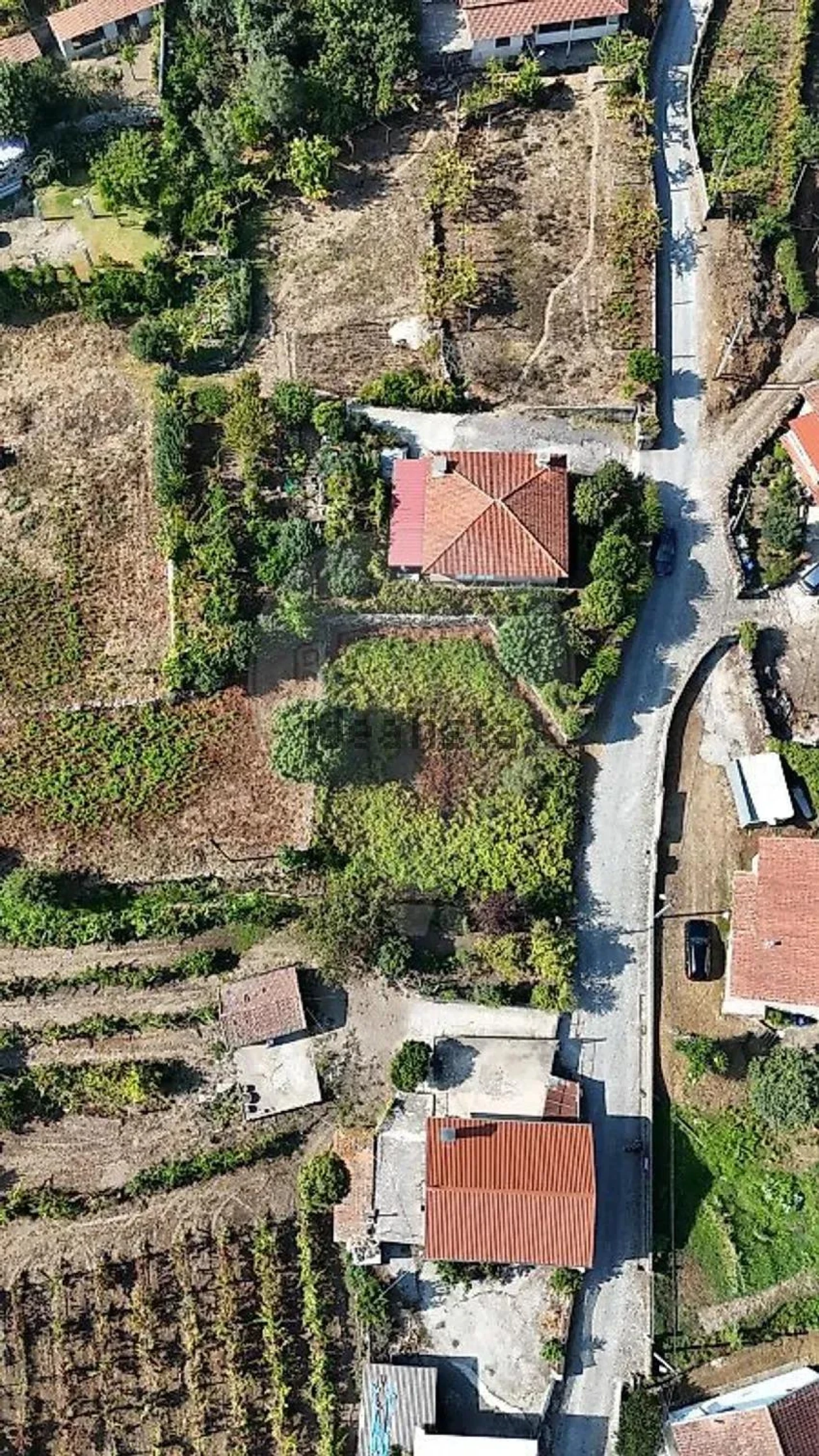 Terreno para Venda em Vila Verde e Barbudo Foto 12