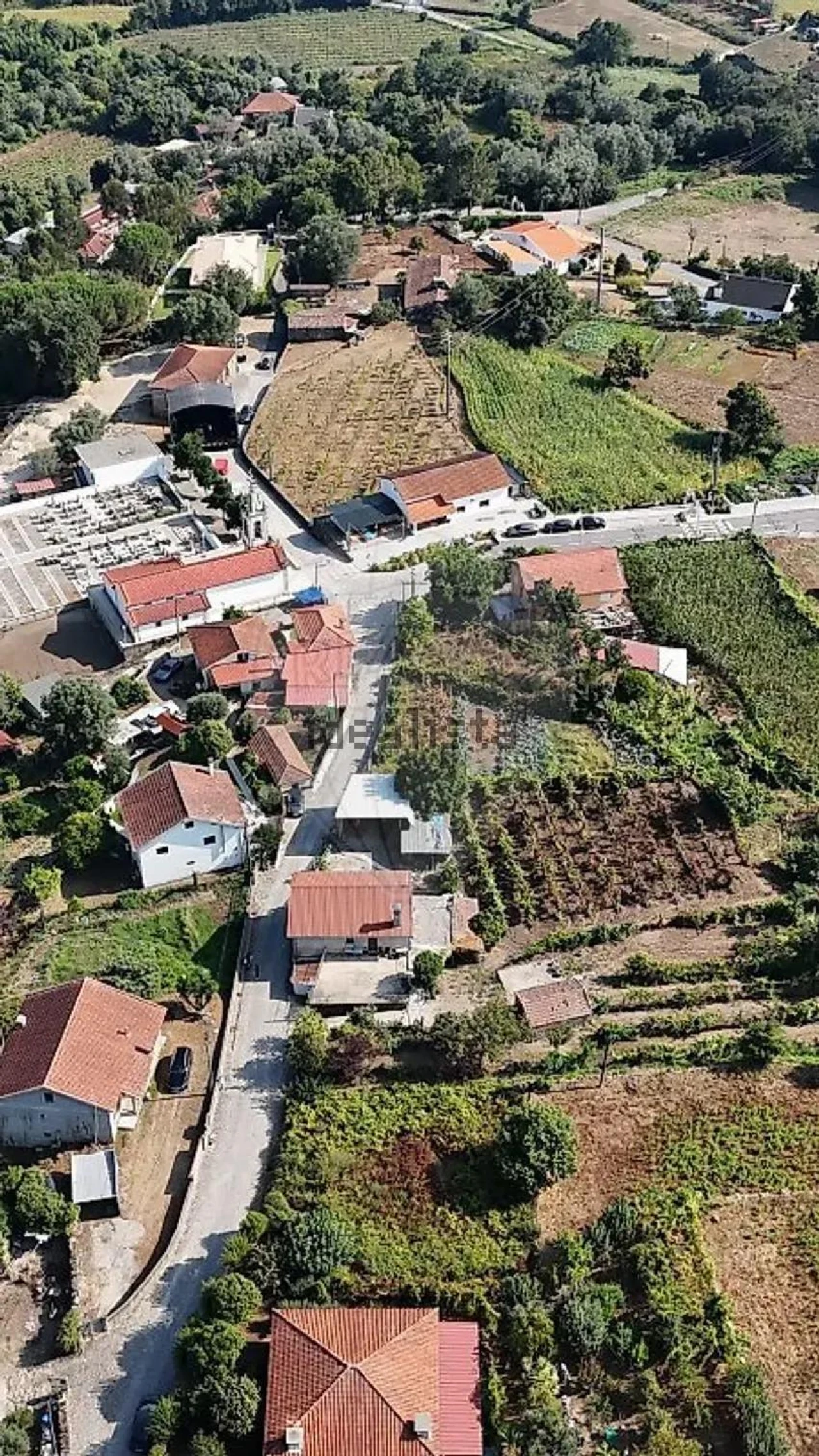 Terreno para Venda em Vila Verde e Barbudo Foto 14