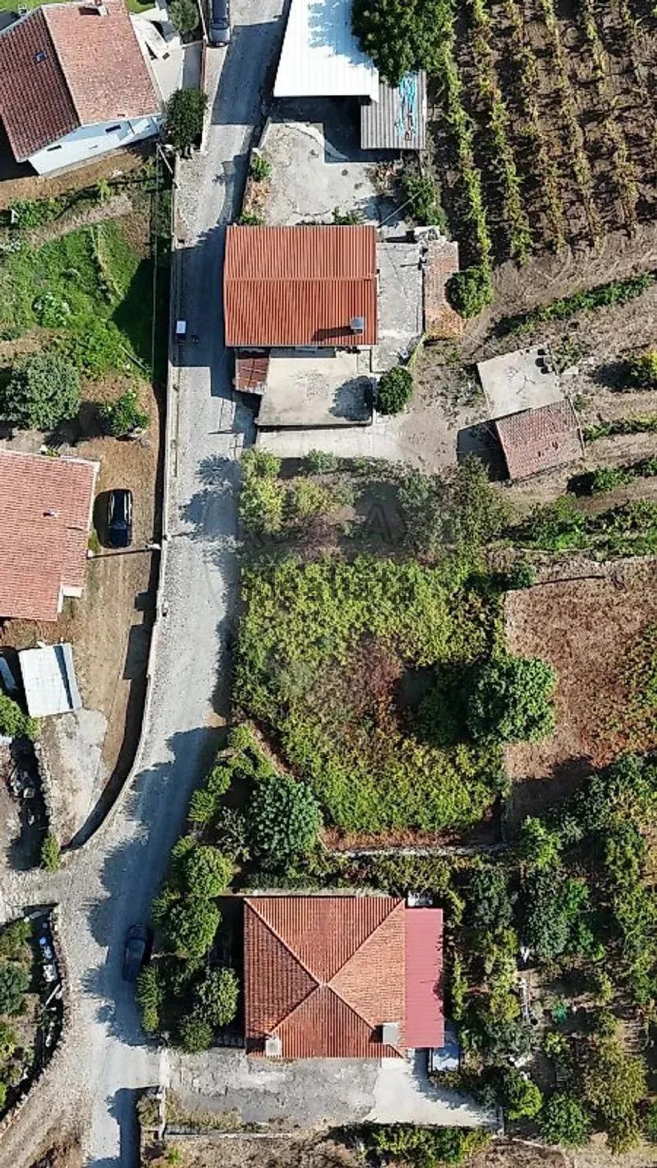 Terreno para Venda em Vila Verde e Barbudo Foto 17