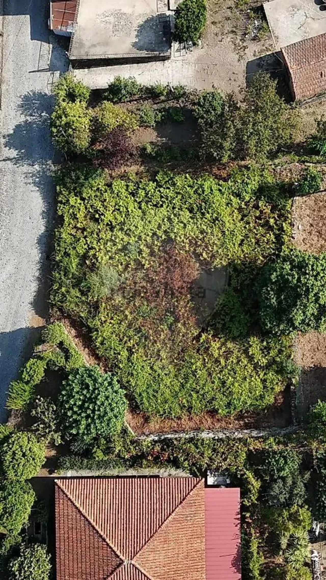 Terreno para Venda em Vila Verde e Barbudo Foto 18