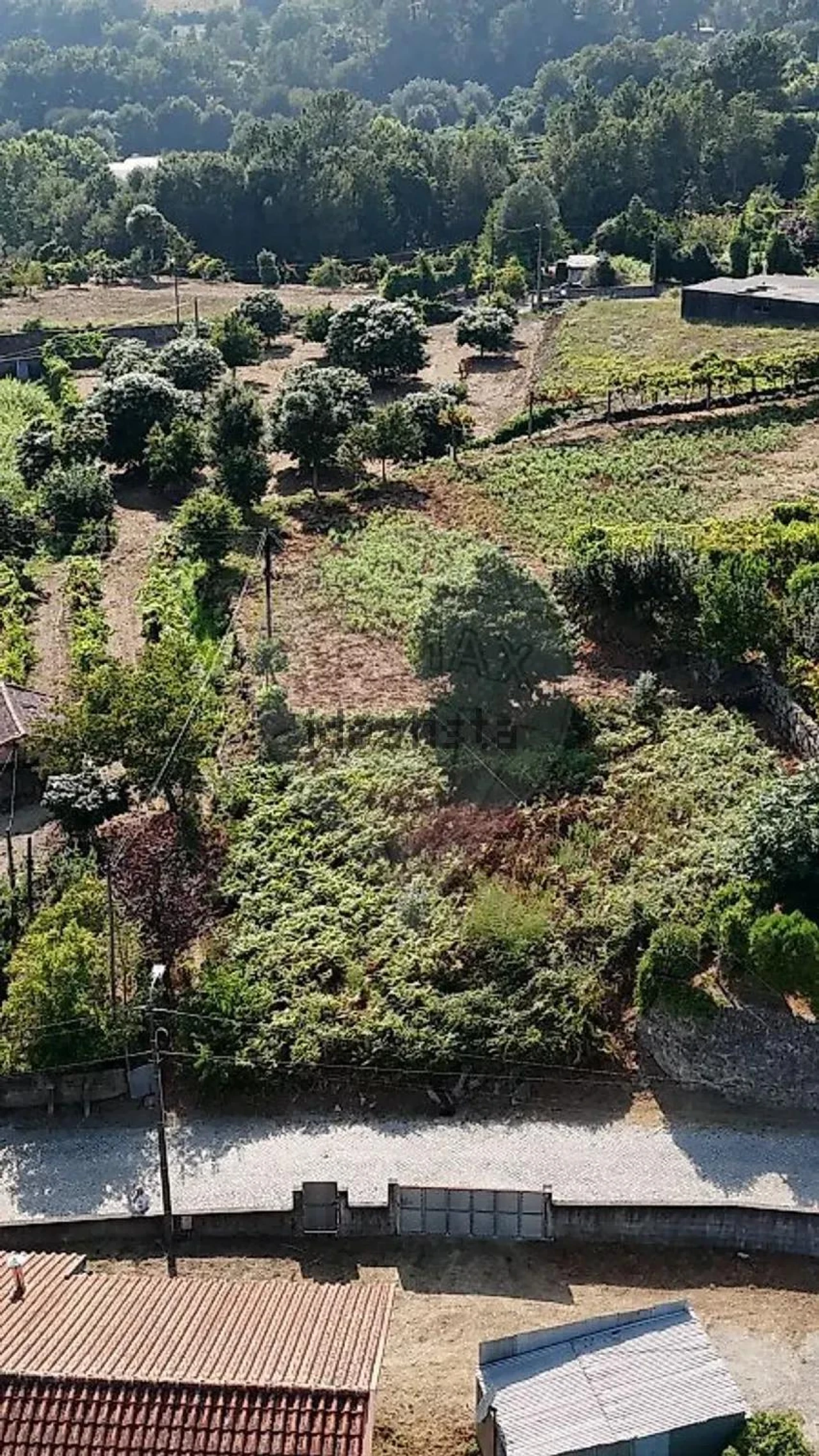 Terreno para Venda em Vila Verde e Barbudo Foto 22