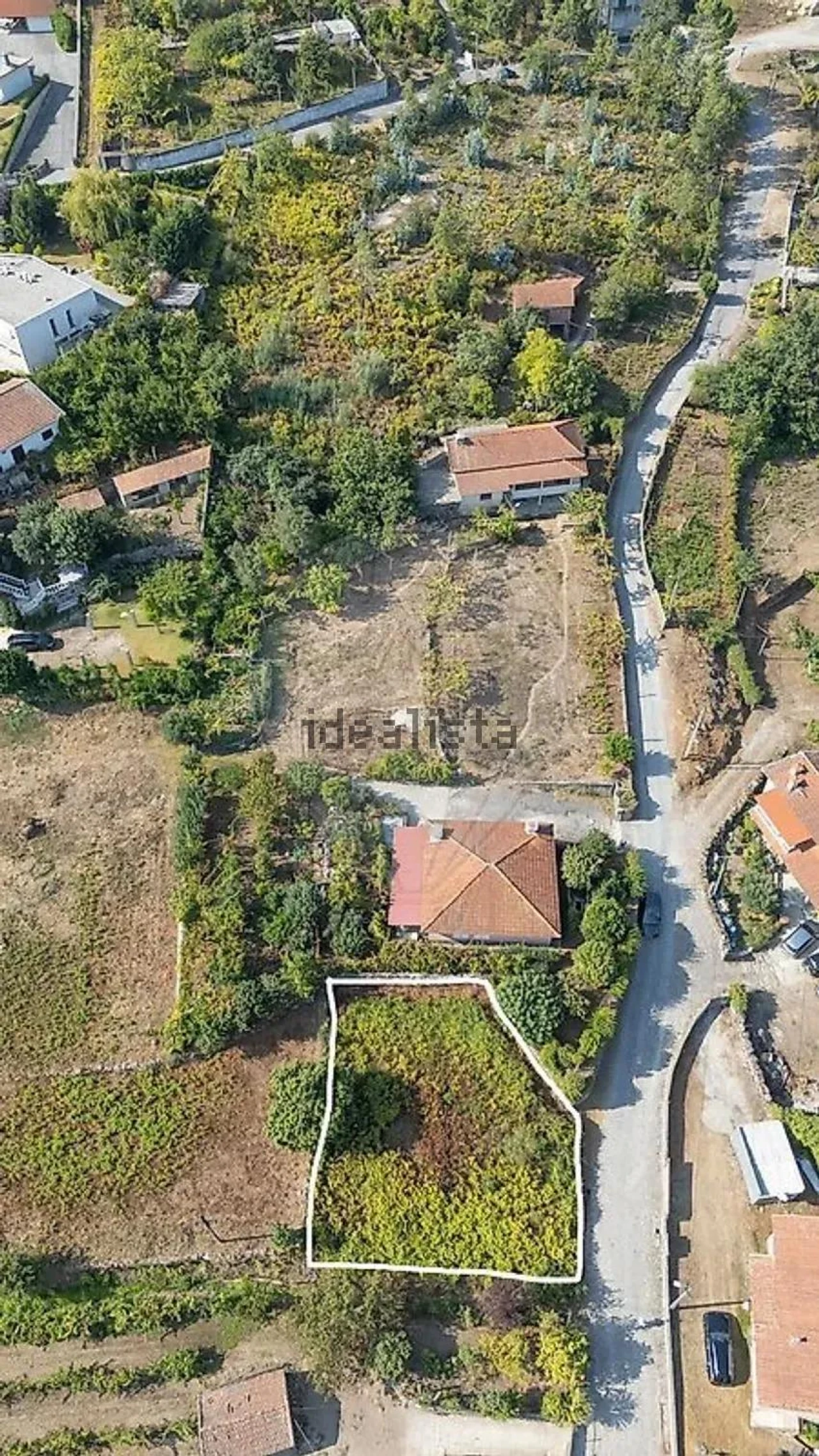 Terreno para Venda em Vila Verde e Barbudo Foto 24