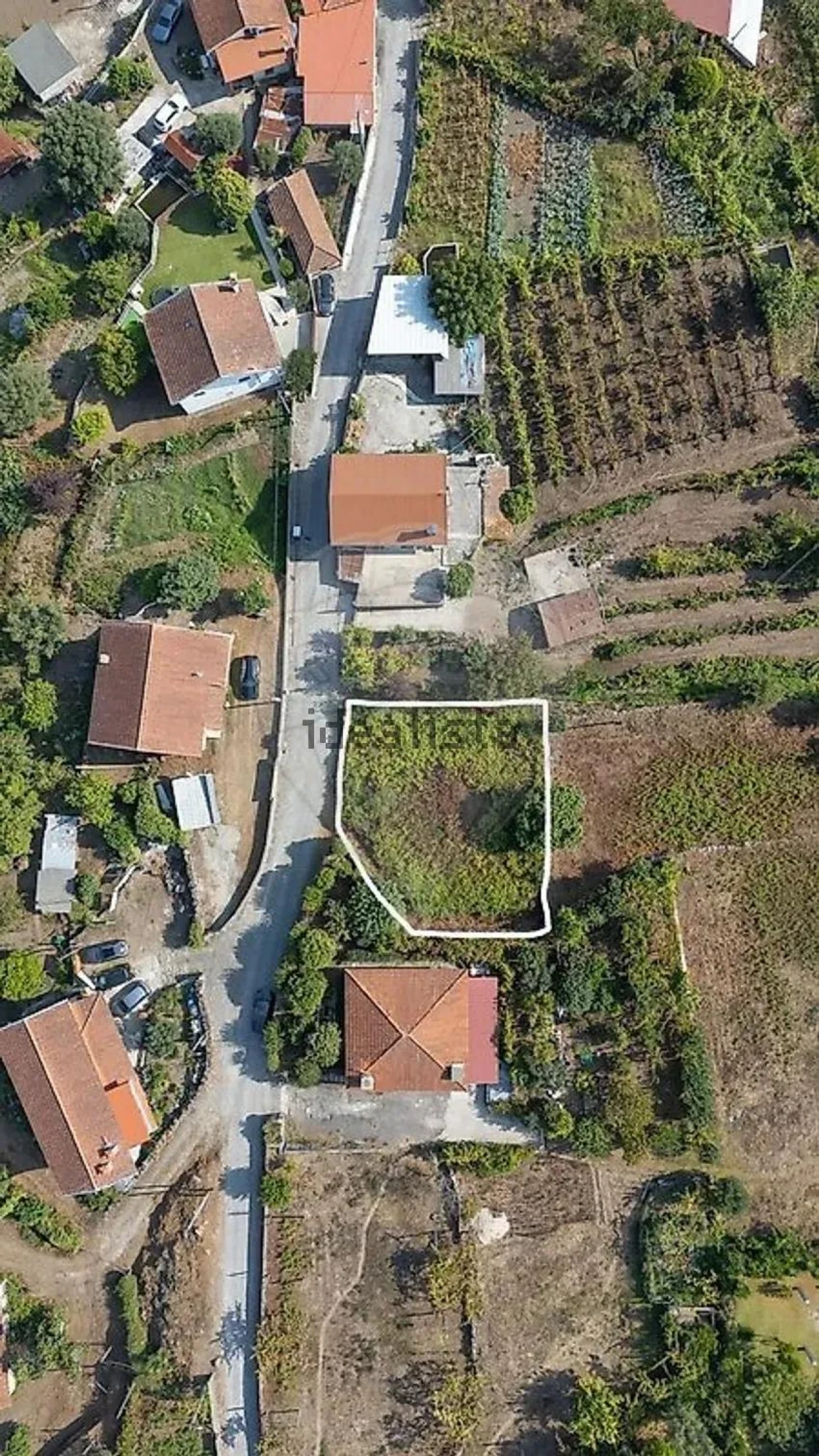 Terreno para Venda em Vila Verde e Barbudo Foto 30