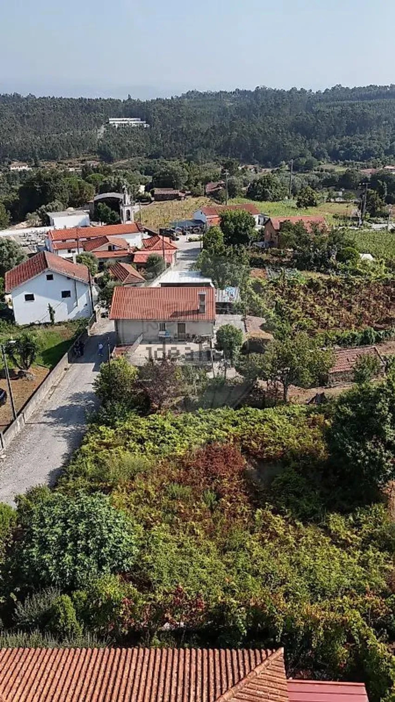 Terreno para Venda em Vila Verde e Barbudo Foto 7