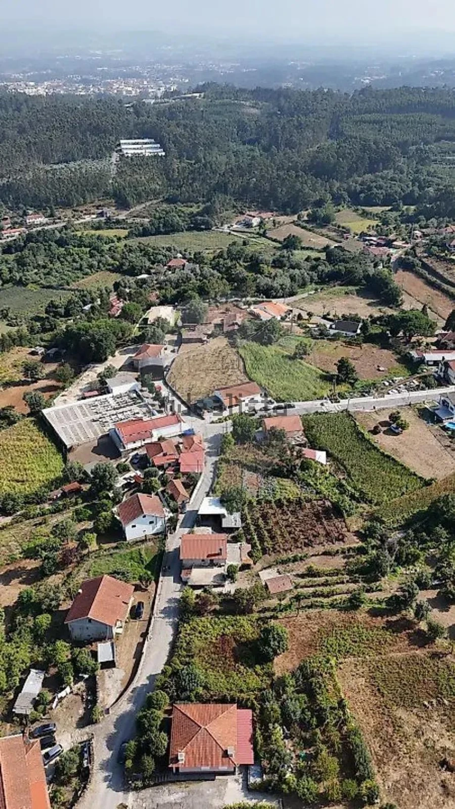 Terreno para Venda em Vila Verde e Barbudo Foto 15