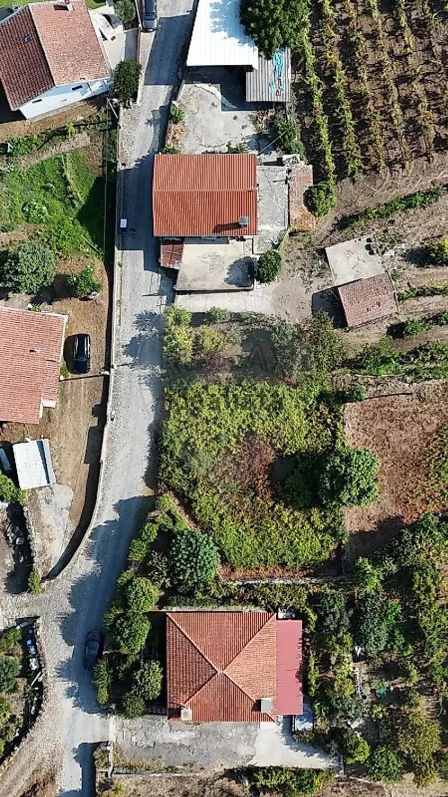 Terreno para Venda em Vila Verde e Barbudo Foto 17