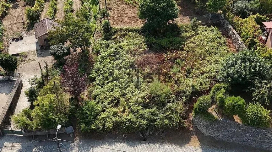 Terreno para Venda em Vila Verde e Barbudo Foto 3