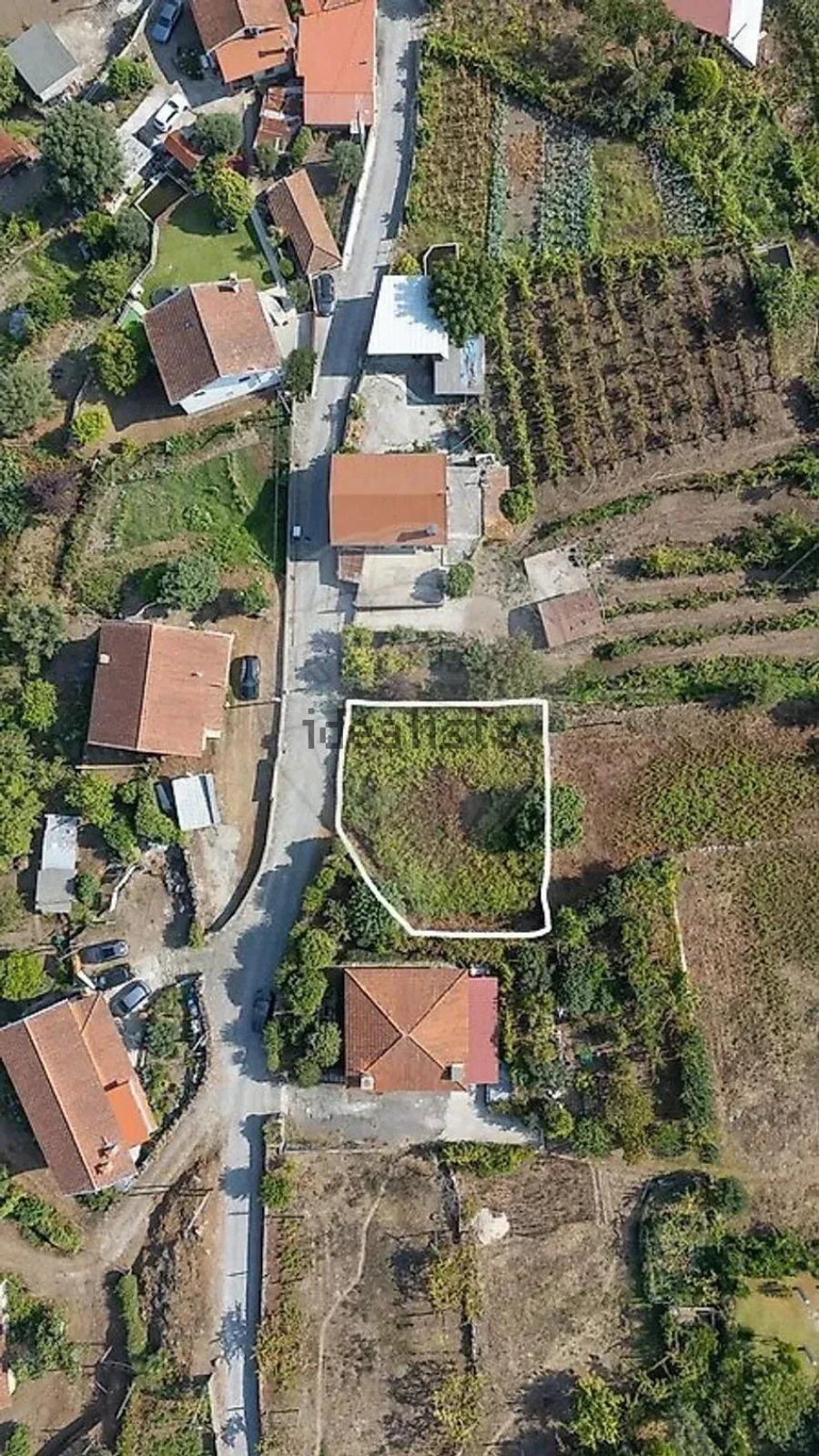 Terreno para Venda em Vila Verde e Barbudo Foto 30