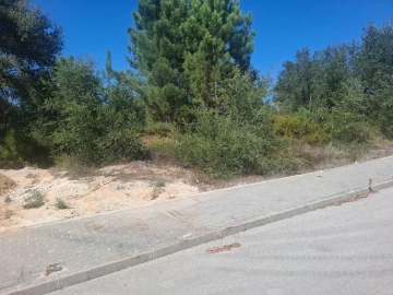Terreno para Venda em Quinta do Anjo