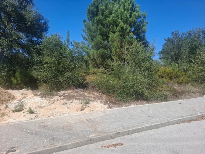 Terreno para Venda em Quinta do Anjo Foto 12