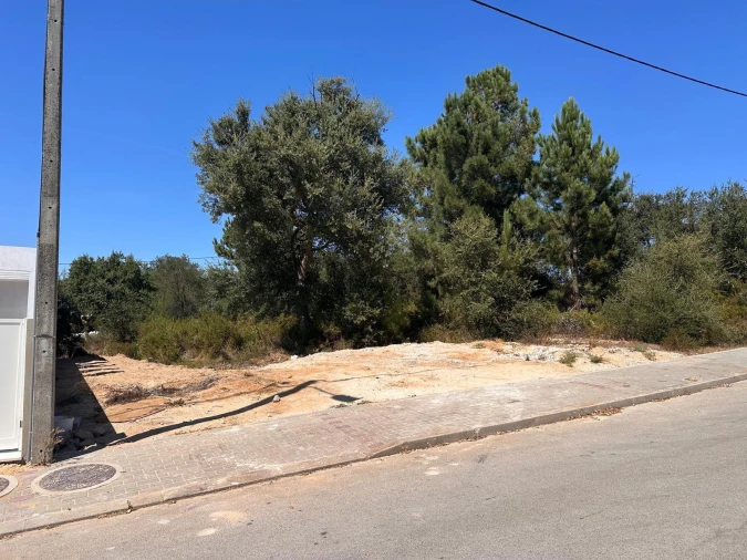 Terreno para Venda em Quinta do Anjo Foto 4