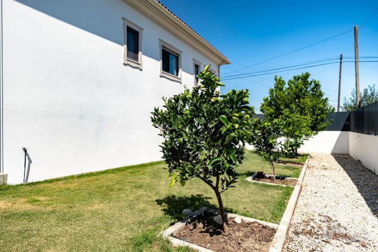 Moradia T5 para Venda em Souto da Carpalhosa e Ortigosa Foto 5