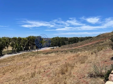 Terreno para Venda em Vila do Bispo e Raposeira