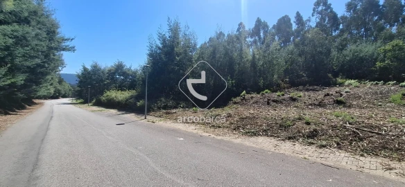 Terreno para Venda em Fornelos e Queijada