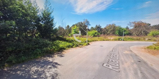 Terreno para Venda em Fornelos e Queijada
