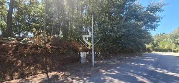 Terreno para Venda em Fornelos e Queijada
