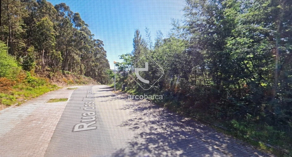 Terreno para Venda em Fornelos e Queijada Foto 2
