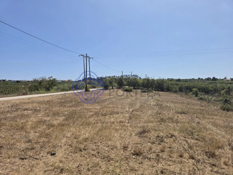 Terreno para Venda em Usseira Foto 16