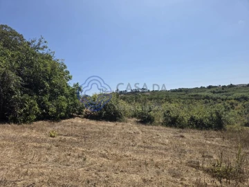 Terreno para Venda em Usseira