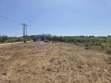 Terreno para Venda em Usseira