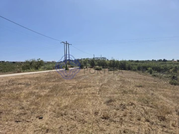 Terreno para Venda em Usseira