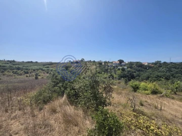 Terreno para Venda em Usseira