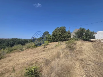Terreno para Venda em Usseira