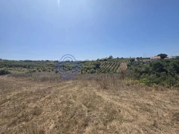 Terreno para Venda em Usseira
