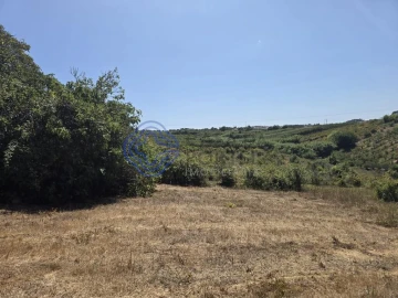 Terreno para Venda em Usseira