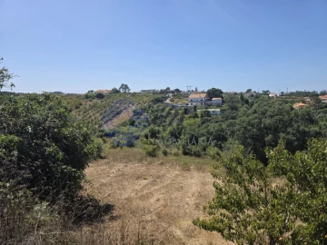 Terreno para Venda em Usseira