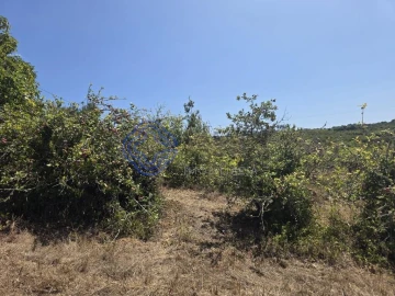 Terreno para Venda em Usseira
