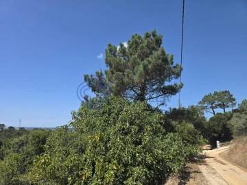 Terreno para Venda em Usseira