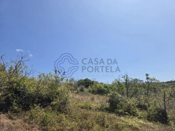 Terreno para Venda em Usseira