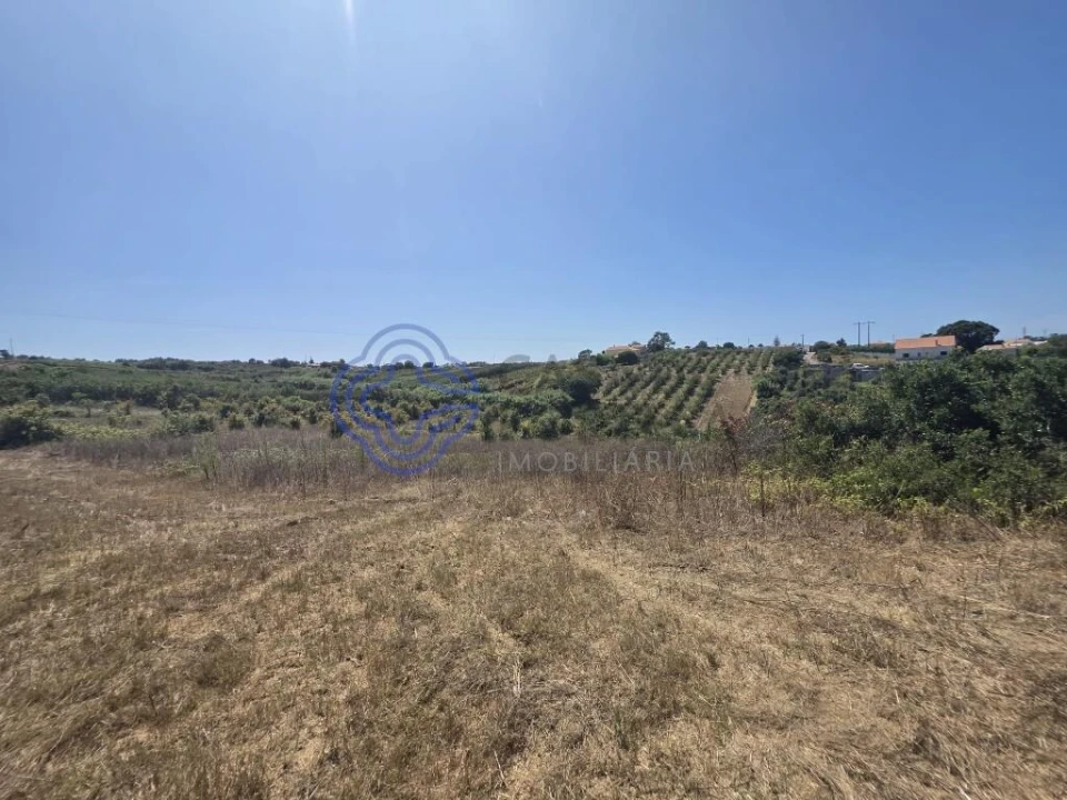 Terreno para Venda em Usseira Foto 8