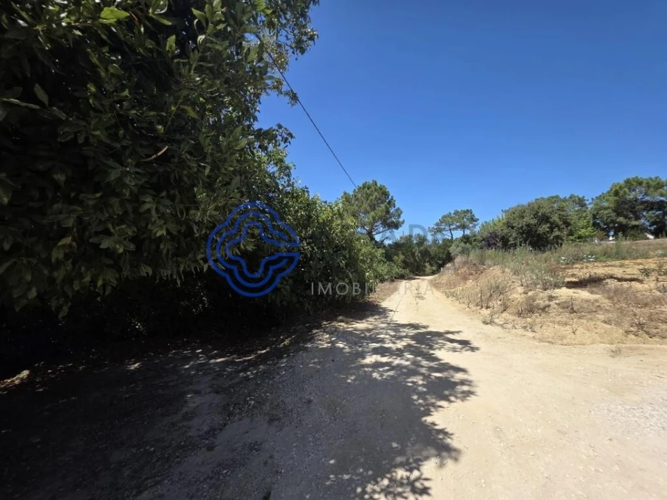 Terreno para Venda em Usseira Foto 1