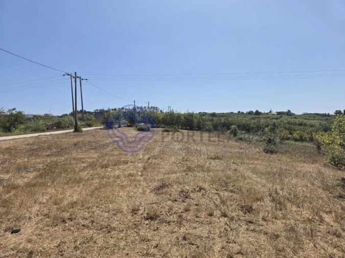 Terreno para Venda em Usseira Foto 15