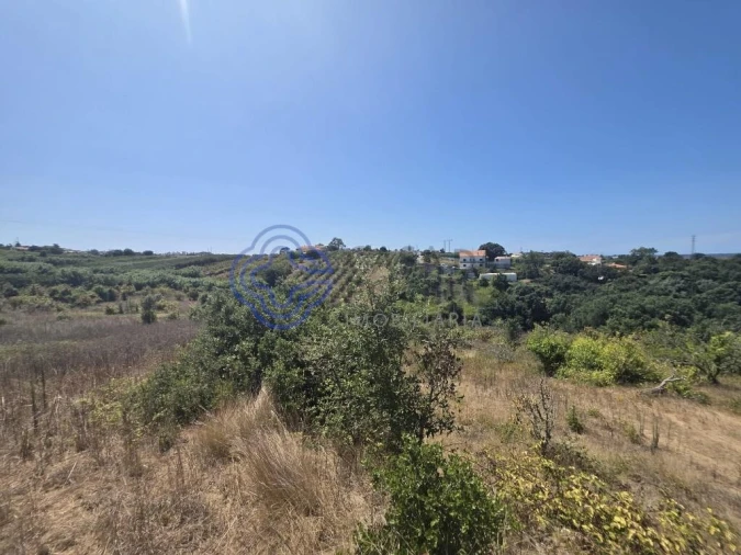 Terreno para Venda em Usseira Foto 3