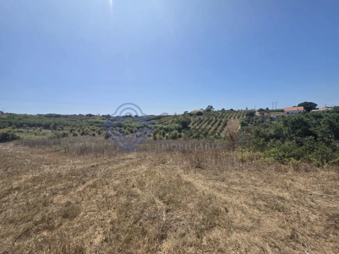 Terreno para Venda em Usseira Foto 8
