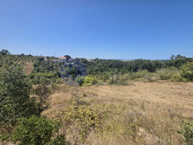 Terreno para Venda em Usseira Foto 7