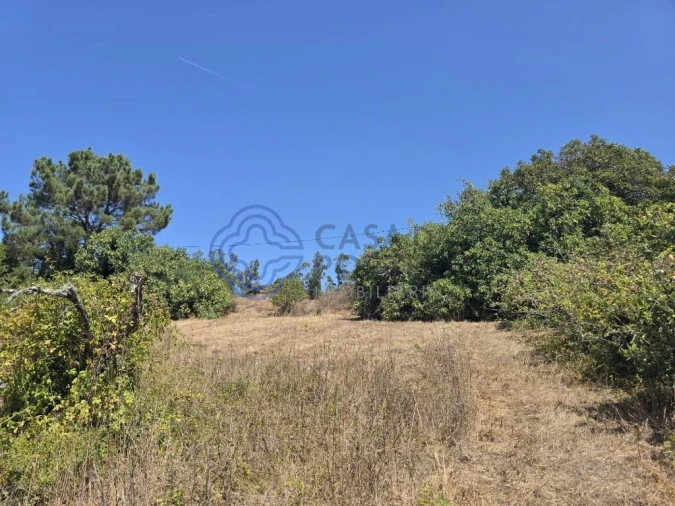 Terreno para Venda em Usseira Foto 22